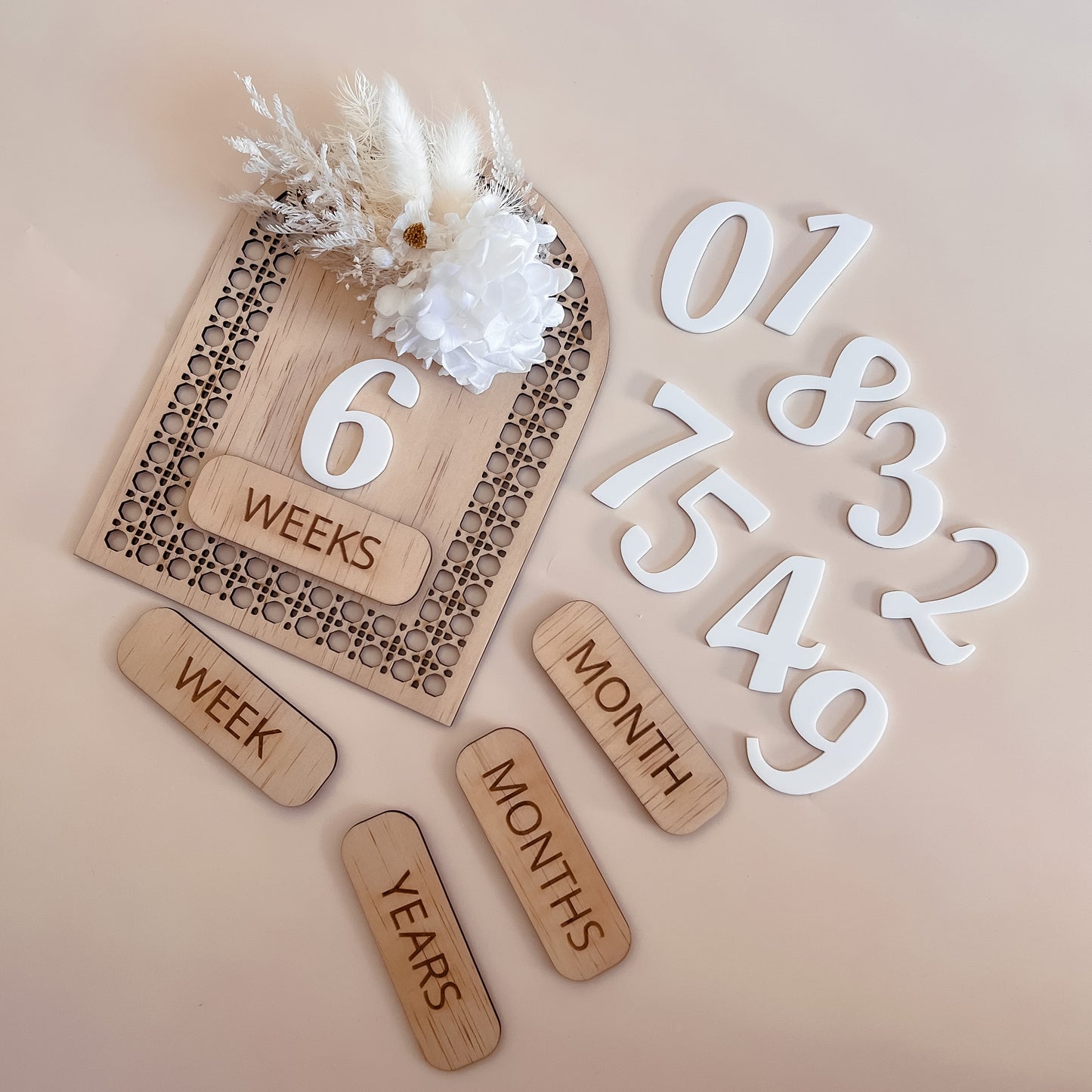Interchangeable Milestone Arch w/ dried flowers