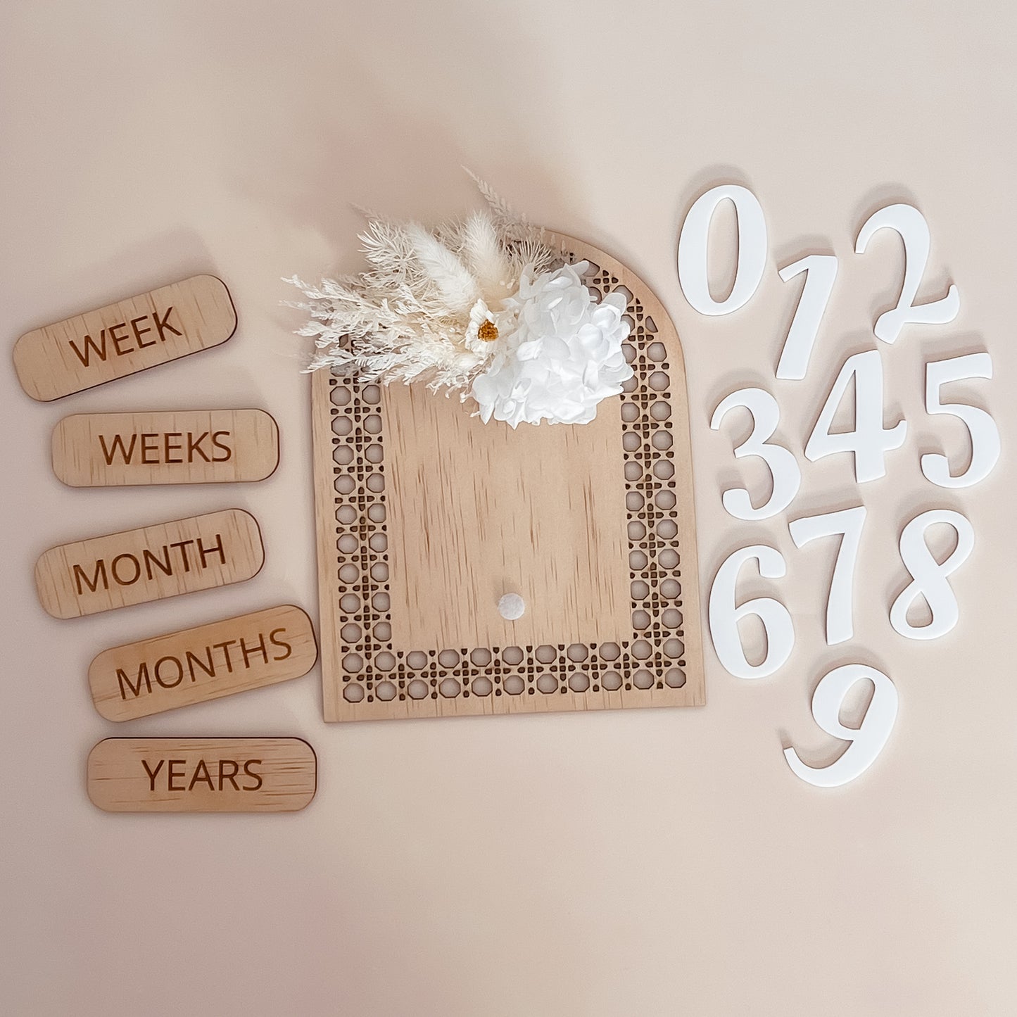 Interchangeable Milestone Arch w/ dried flowers