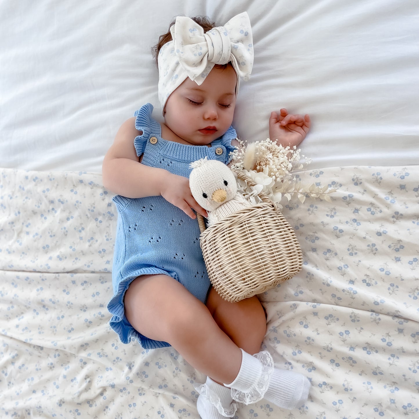 Baby gosling