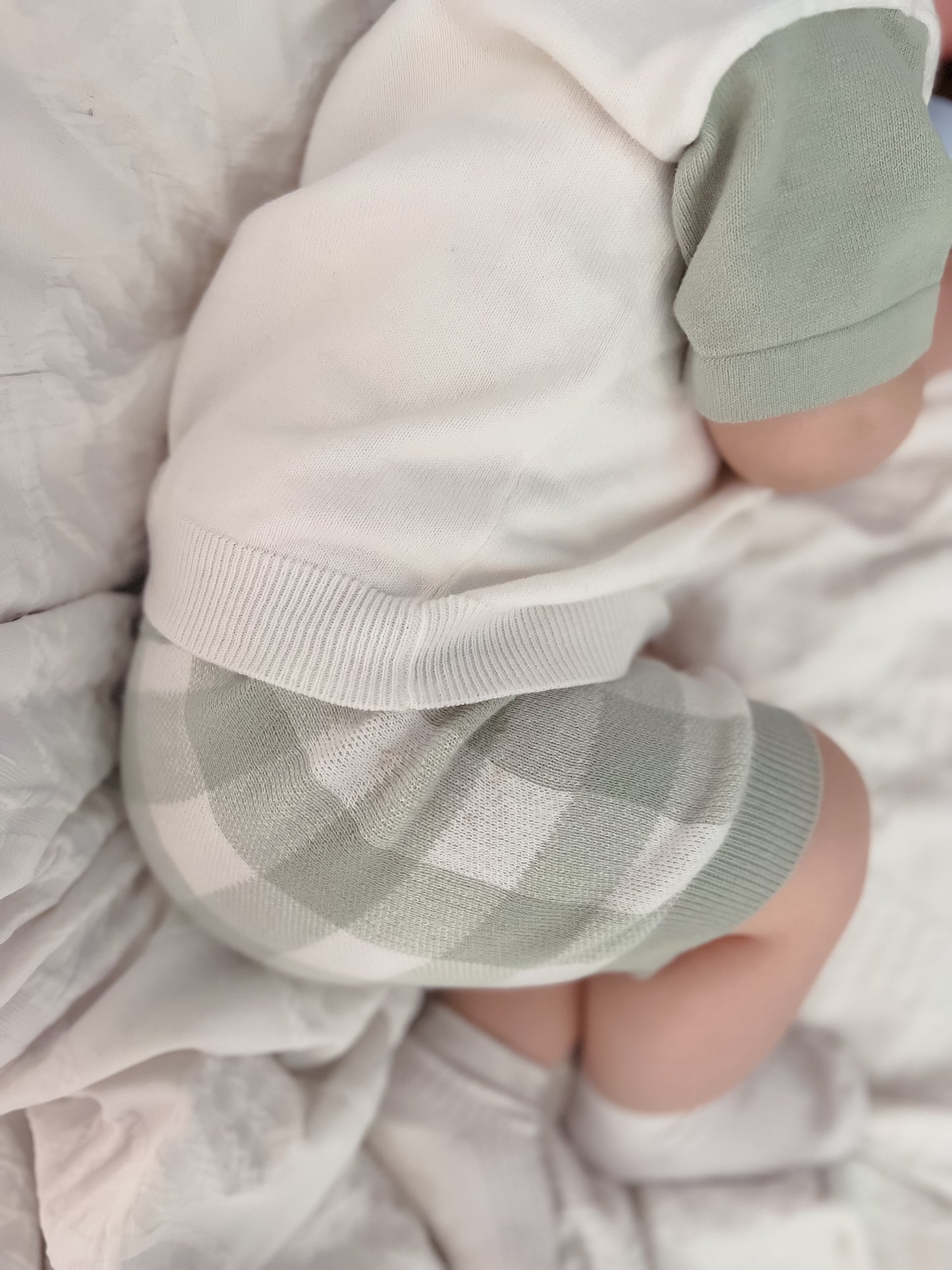 Gingham Knit Shorts - Sage