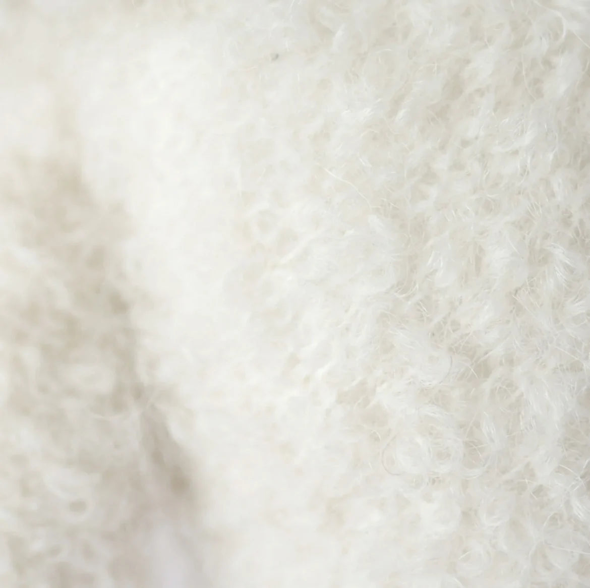 Baby boucle' bear