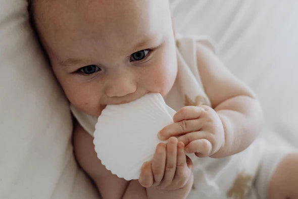 Silicone Teether - Milk Shell