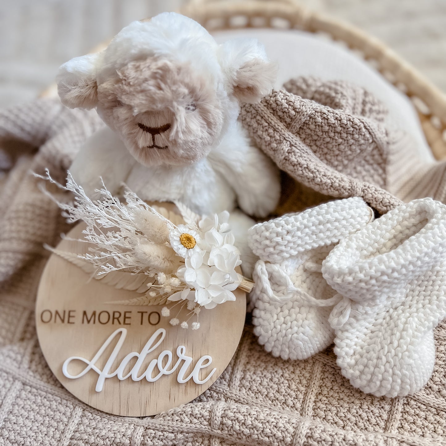 Pregnancy Announcement Plaque w/ dried flowers - One more to adore