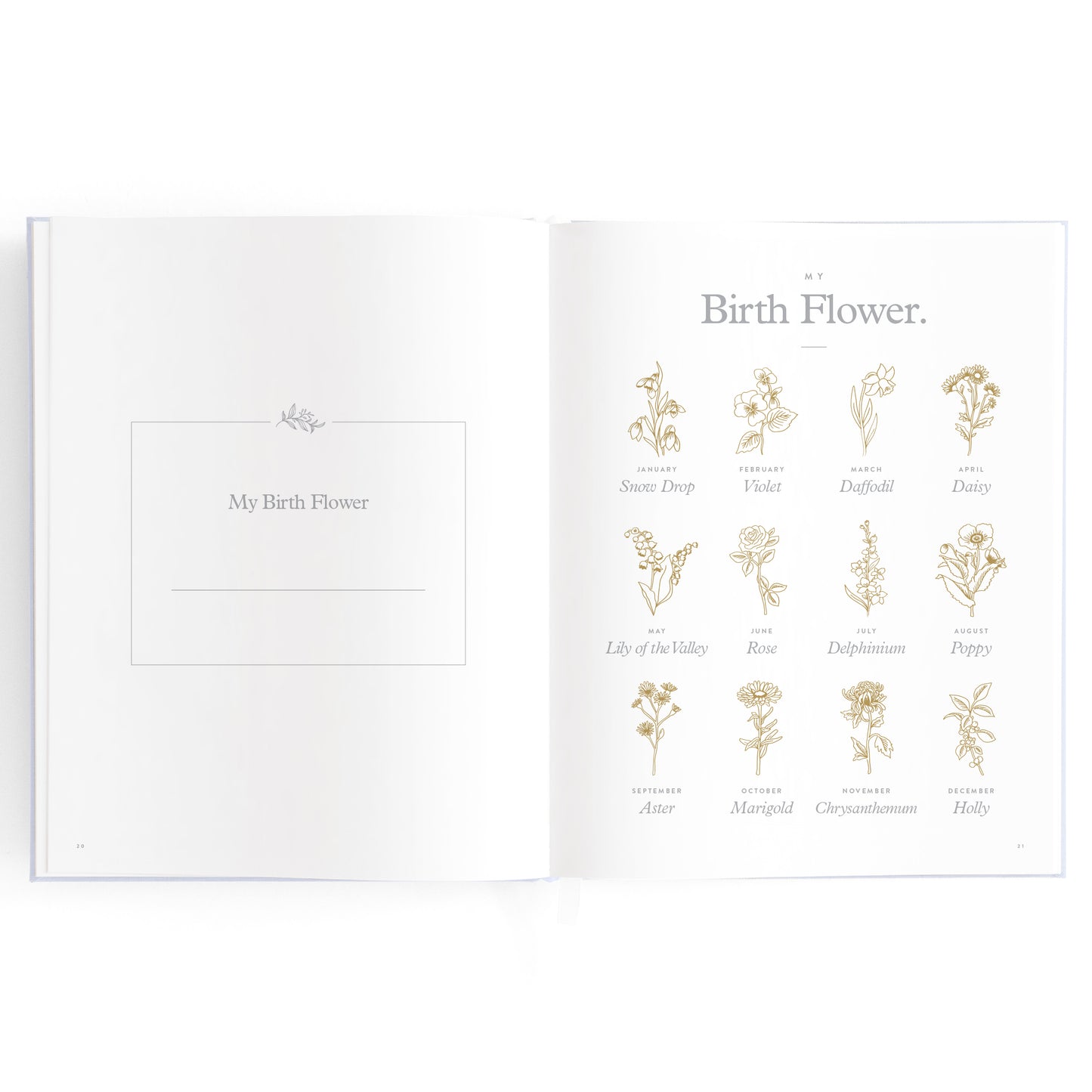Baby Book - Powder Blue