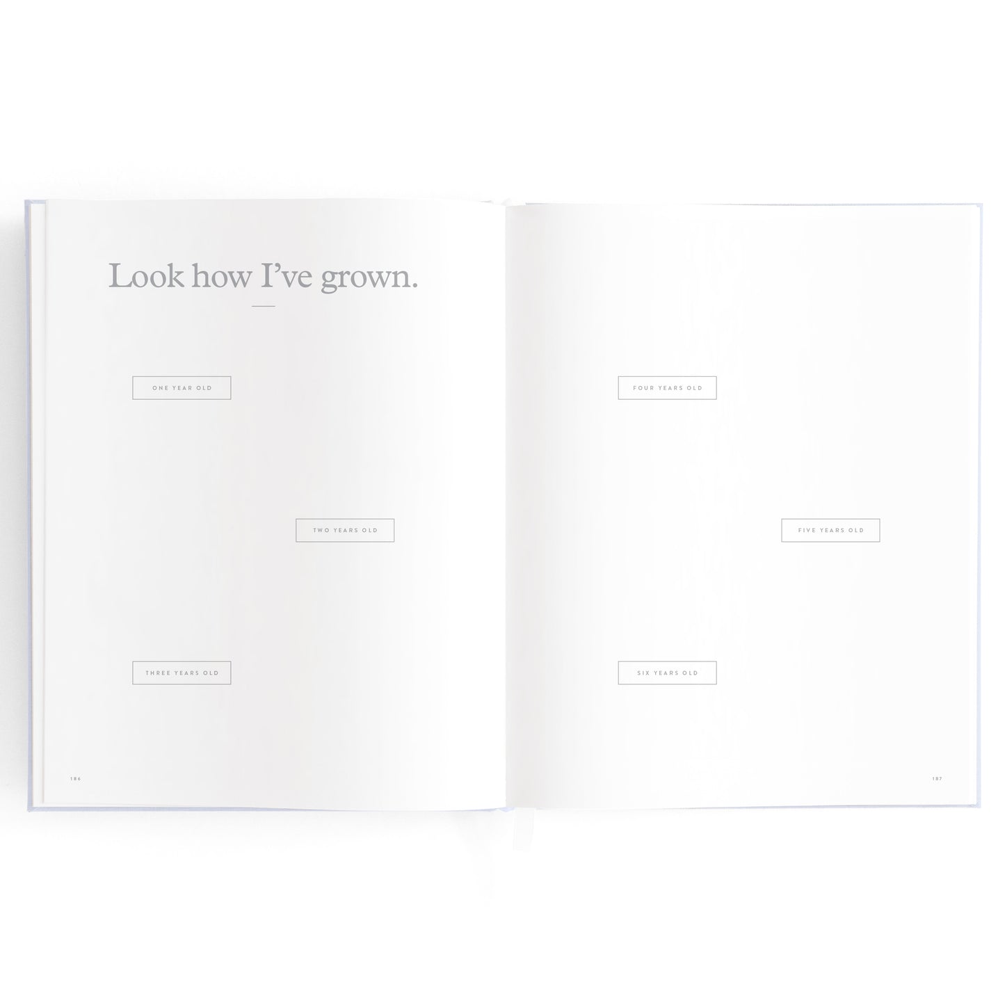 Baby Book - Powder Blue