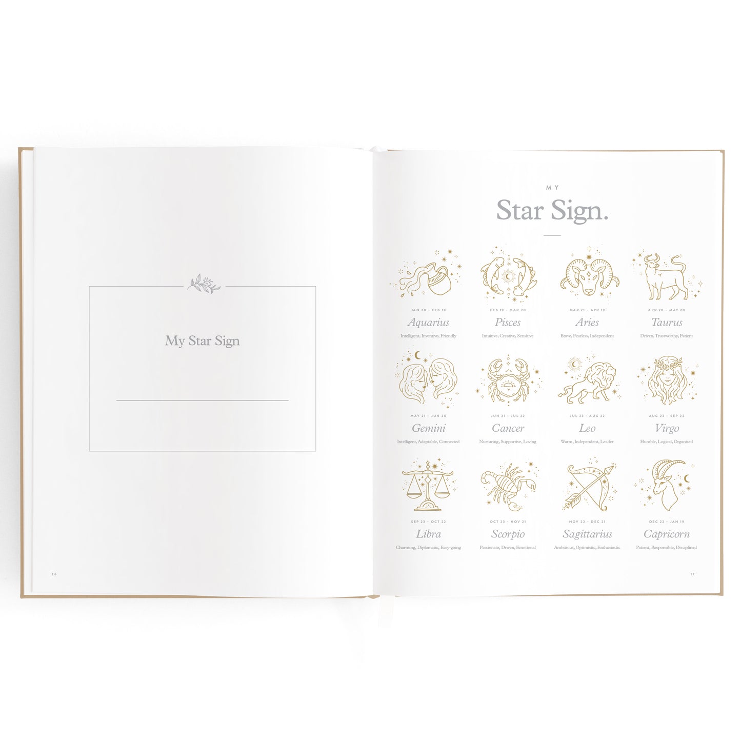 Baby Book - Biscuit