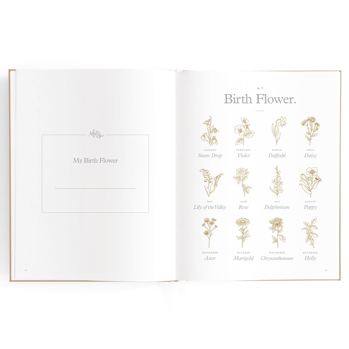 Baby Book - Biscuit