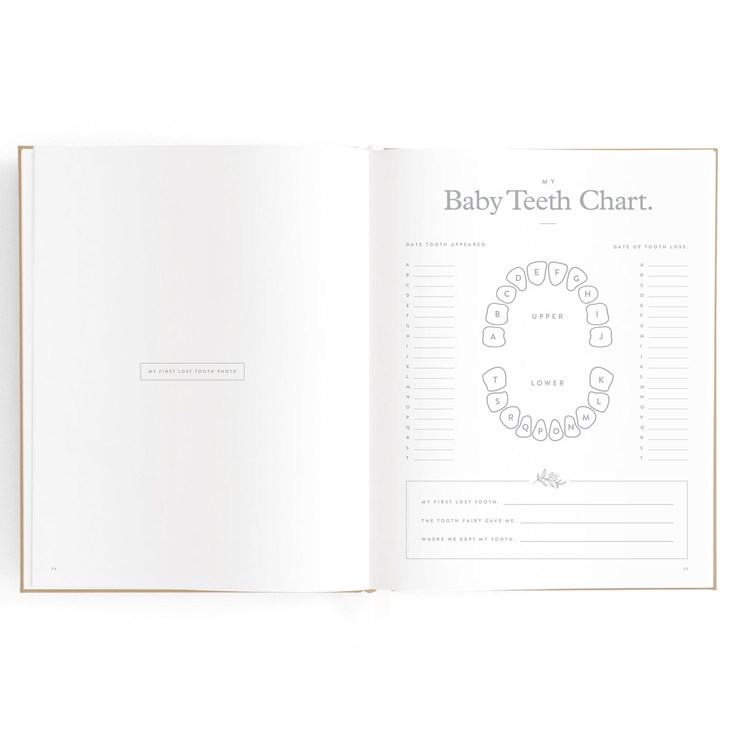 Baby Book - Biscuit
