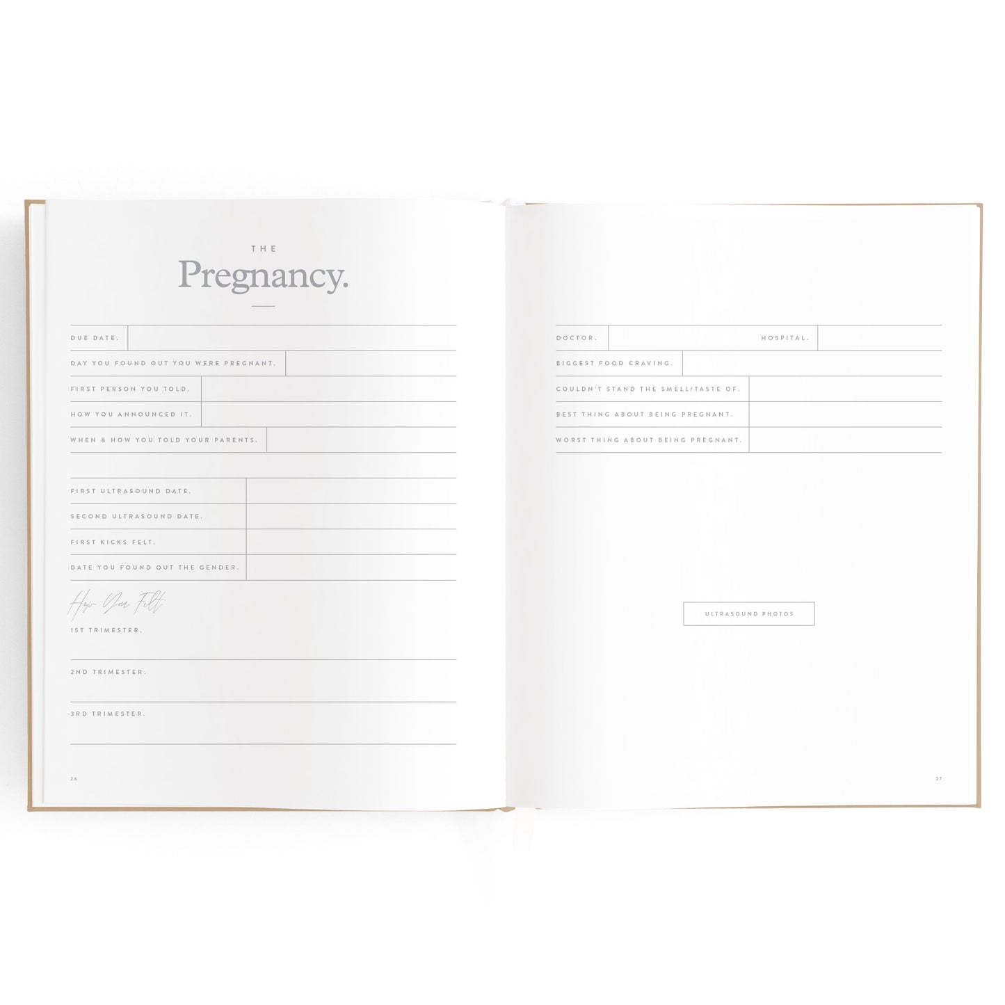 Baby Book - Biscuit