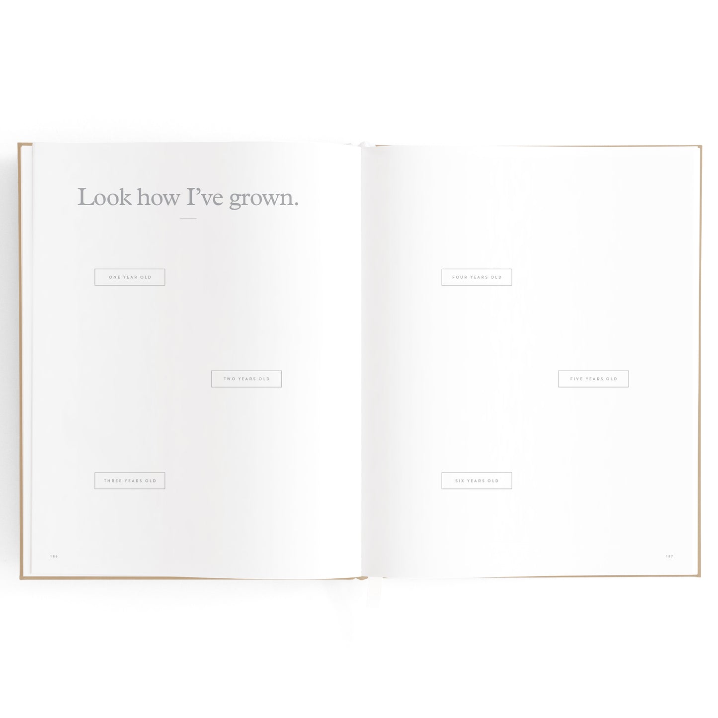 Baby Book - Biscuit