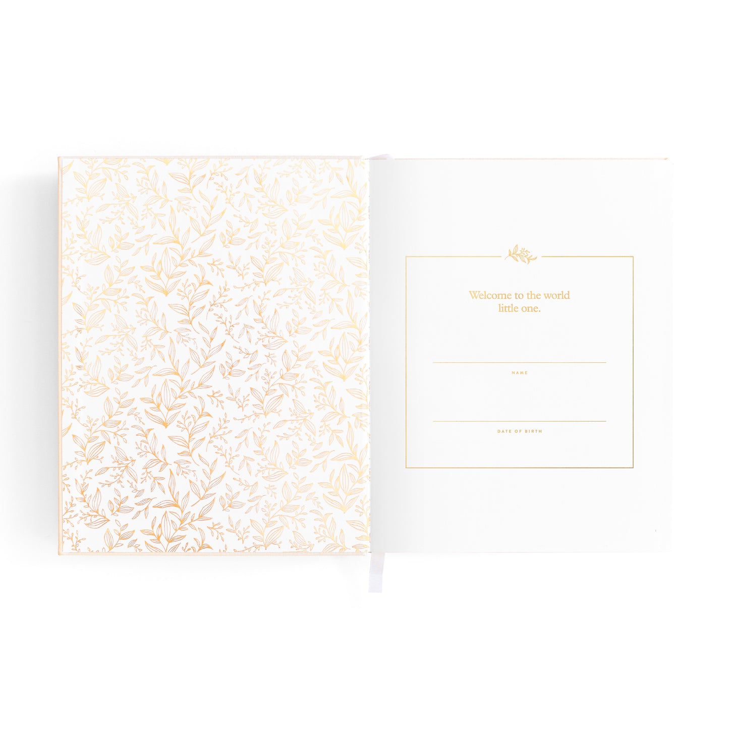 Mini Baby Book Oatmeal