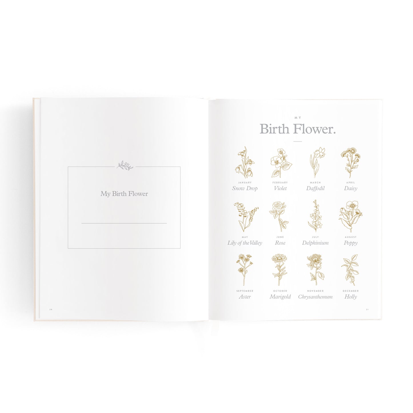 Mini Baby Book Oatmeal