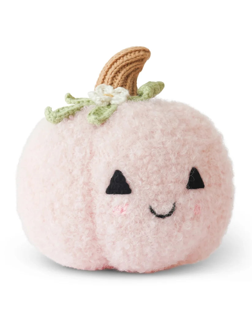 Baby Pumpkin (Blush floral)