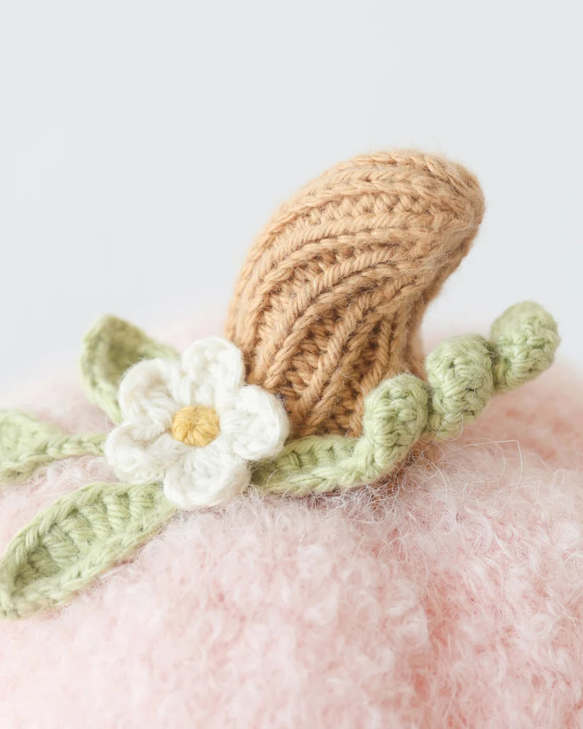Baby Pumpkin (Blush floral)