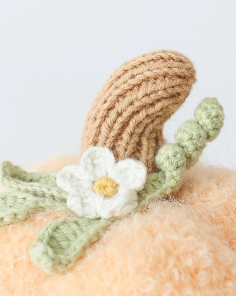 Baby Pumpkin (Peach floral)