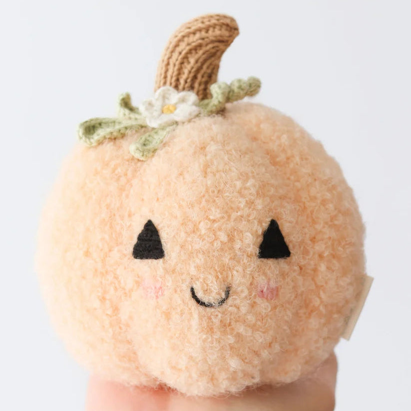 Baby Pumpkin (Peach floral)