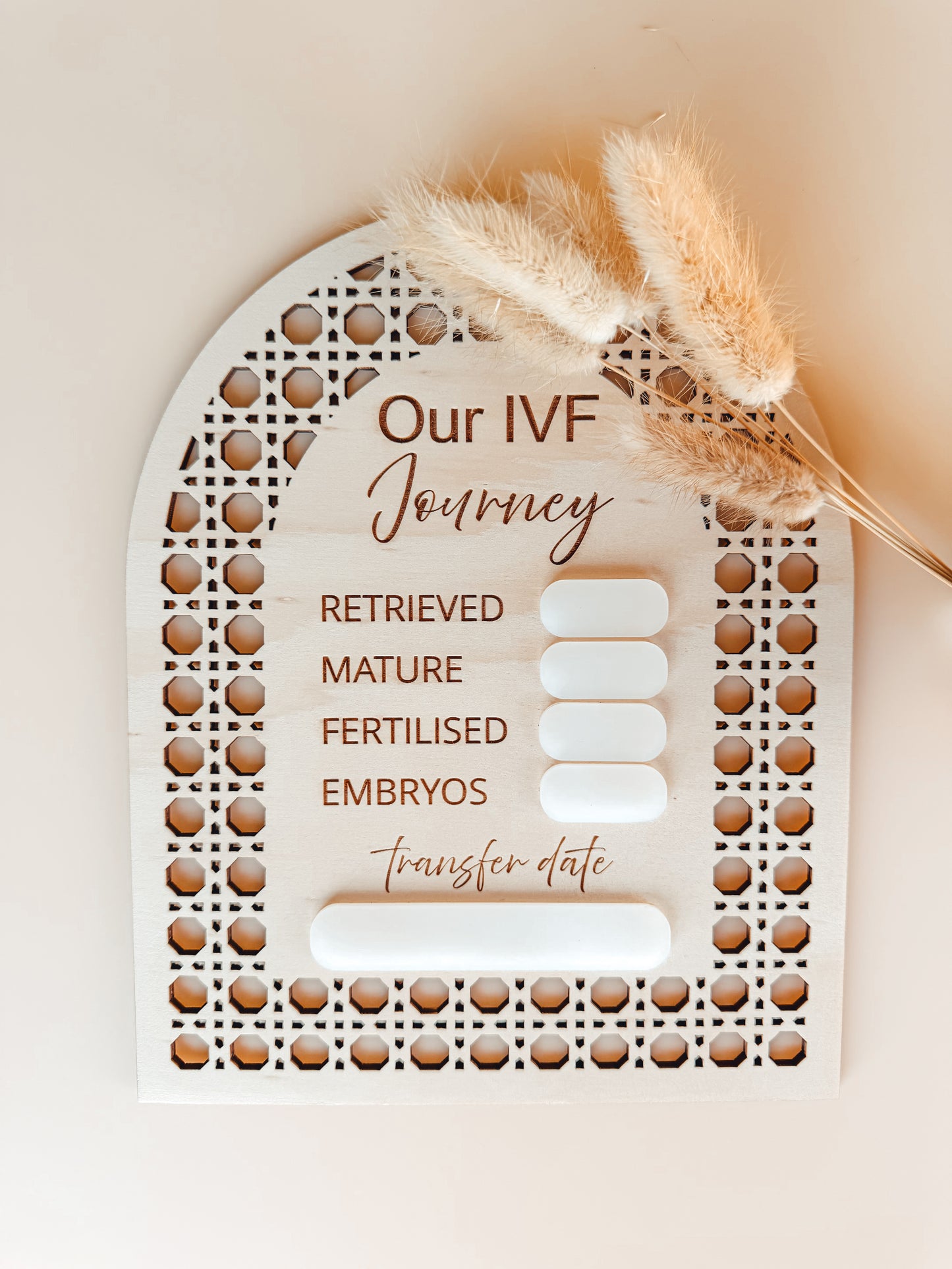 IVF JOURNEY PLAQUE | Engraved Plywood & Acrylic