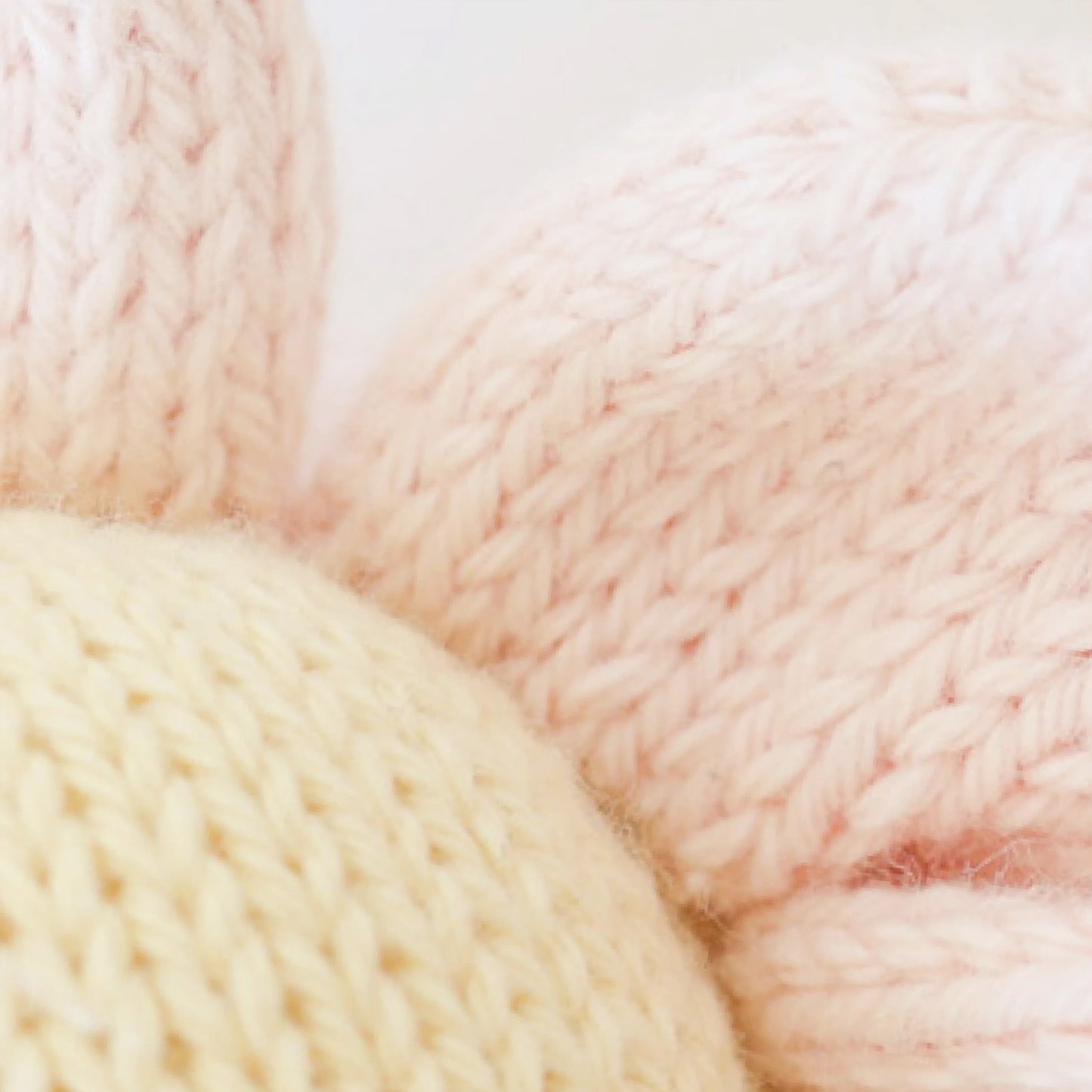 Baby daisy (blush pink)