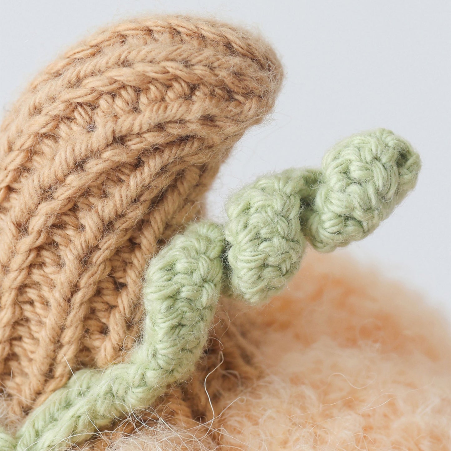 Baby Pumpkin (Peach floral)