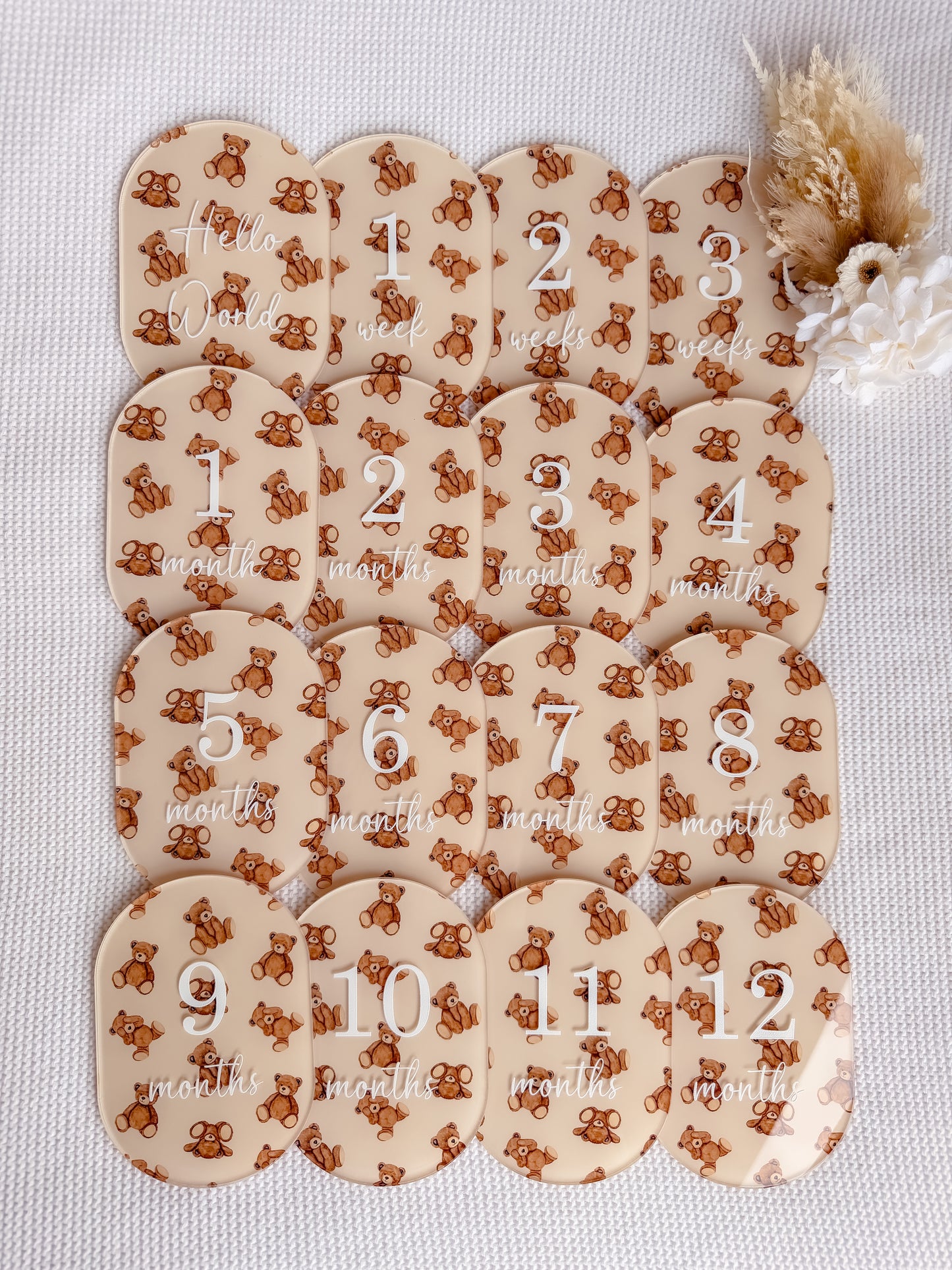 BEAR THEMED MILESTONE SET OVAL | UV Printed Acrylic
