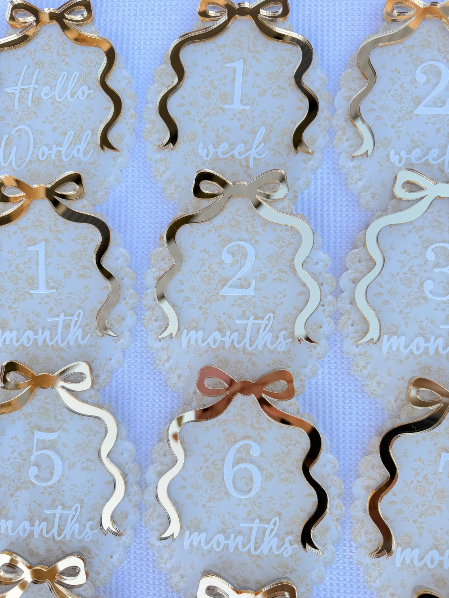 VINTAGE SCALLOP BOW MILESTONE SET OVAL | UV Printed Acrylic